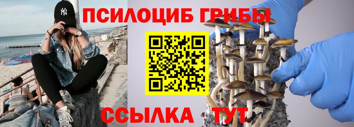 Галлюциногенные грибы Cubensis Кореновск